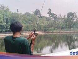 Hutan Kota Munjul Dari Sebab Itu Spot Kandidatteratas Mancing dan Refreshing Warga