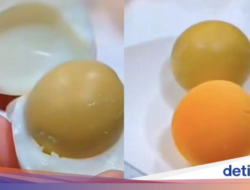 Tips Bikin Warna Kuning Telur Rebus Cantik, Pakai Bahan Ini!