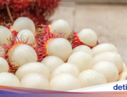 Tragis! Gegara Makan Rambutan, Nyawa Nenek Ini Melayang