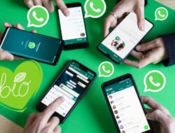 WhatsApp Luncurkan Fitur Kandidatteratas, Begini Cara Pakainya