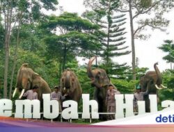 10 Wisata Bandar Lampung Sebagai Keluarga, Cocok Buat Healing