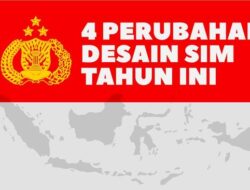 INFOGRAFIS: 4 Perubahan Desain SIM Tahun Ini