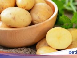 Apakah Makan Kentang Di Asupan Konsumsi Efektif Turunkan Berat Badan?