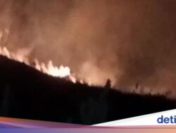 Bukit Anak Dara Di Lombok Terbakar, Para Pendaki Kelimpungan