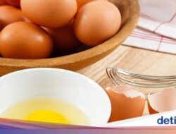 Doyan Makan Telur Mentah? Hati-hati Risiko Terpapar Bakteri