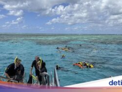 Lagi, Turis Tewas Di Diving Ke Great Barrier Reef, Ada Apa?