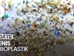 Video: Mengenal 2 Jenis Mikroplastik Hingga Lingkungan Sehari-hari