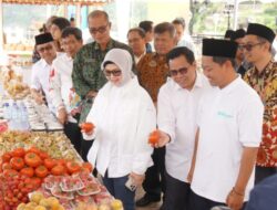 Perkuat Kemandirian Ekonomi Komunitas Bali, BSI Resmikan Sentra Usaha Kecil Menengah Bedugul