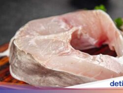 Konsumsi 5 Seafood Ini Bisa Membahayakan Kesejaganan dan Lingkungan