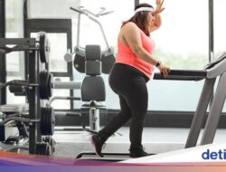 Terungkap! Sel Lemak Punya ‘Memori’ yang Bikin Berat Badan Selalu Naik Lagi