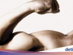 Butuh Berapa Banyak Protein Sebagai Membentuk Otot? Begini Hitung-hitungan Ilmiahnya