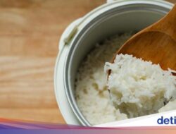 Nasi Ke Rice Cooker Cepat Kuning? Ini 5 Penyebabnya