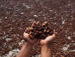 Bukan Bitcoin, Produk Internasional Ini Cetak Kemajuan Tertinggi Ke 2024