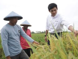 Pertamina EP Ajak Generasi Muda Kembangkan Sektor Pertanian