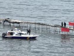 Siapa Pengusaha Di Balik Pembangunan Pagar Laut Misterius Di Tangerang dan Bekasi?