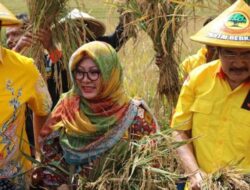 Tak Ada Trah Soeharto, Mbak Tutut Didorong Kembali Bergabung Hingga Partai Golkar