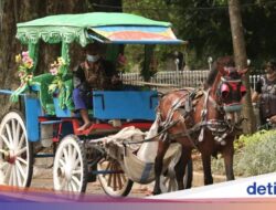 Viral Wisatawan Bayar Rp 600 Ribu Naik Delman Ke Bandung, Ia Langsung Kapok