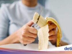 Kegemaran Makan Buah Setelahnya Makan Nasi? Ini Efeknya Untuk Tubuh