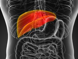 7 Konsumsi Sehari-hari Bagus Bagi Kesejaganan Liver, Termasuk Minuman