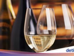 Bocah 3 Tahun Dikasih Wine Hingga Pesawat, Pihak Maskapai Minta Maaf
