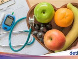 Catat! 5 Konsumsi Sehat Sebagai Turunkan Kadar Kolesterol Di Tubuh