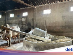 Pembuatan Mie Lethek Viral hingga Fried Chicken Lokal Rp 8 Ribuan