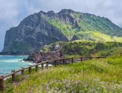 Viral Hingga Drakor, Ini Alasan ‘Haenyeo’ Jeju Kuat Menyelam Tanpa Oksigen