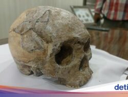 Mengenal Suku Wajak, Suku Tertua Ke RI yang Hilang Secara Misterius