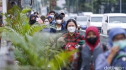 RI Tak Alami Lonjakan COVID Seperti Singapura, Betulan Aman atau Sudah Jarang Tes?
