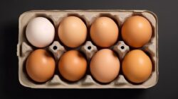 Cerita Ke Balik Viral Pria Nekat Makan 150 Butir Telur Pada 5 Hari