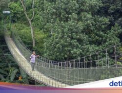 Jembatan Gantung Citarum, Ikon Terbaru Ekowisata Ke Bandung Barat