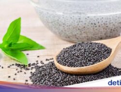 Cegah Sembelit! Konsumsi 5 Minuman Tinggi Serat Untuk Melancarkan BAB