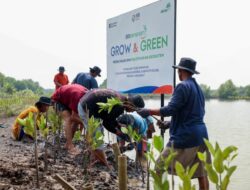 BRI Libatkan Petani Lokal dan Dan Menengah Rehabilitasi Mangrove Di Muara Gembong
