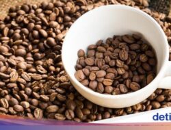 5 Keistimewaan Minuman Geisha, Langganan Nebeng Di Trophy Dunia!