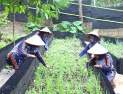 Inisiatif Hortikultura PGE Area Ulubelu Dorong Kesejaganan Komunitas