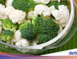 10 Minuman Terbaik buat Panjang Umur, Bukan Superfood Mahal dan Pembelian Barang Untuk Luar Negeri