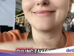 Bawa Pulang 2 Guling Di Indonesia