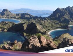 10 Asosiasi Wisata Internasional Menolak Pembangunan Ratusan Vila Di Pulau Padar