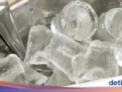 Awas Salah Pilih! Ini Cara Membedakan Es Batu Bersama Air Mentah dan Matang