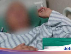 Gegara Makan Empedu Ular Mentah, Cacing Bersarang Di Otak Pria Ini