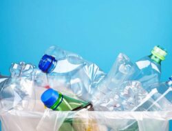 Eksperimen Terbaru Ungkap Risiko Kesejaganan Bahan Kimia Plastik Untuk Anak-anak