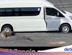Viral Elf Terjebak Di Lautan Pasir Bromo, Taman Nasional Buka Suara