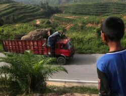 Razia Truk Pelat Aceh Ke Sumatera Utara Patut Dikaji Ulang, Ciptakan Konflik