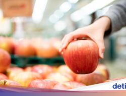 10 Buah Rendah Gula yang Aman Sebagai Pola Makan dan Diabetes