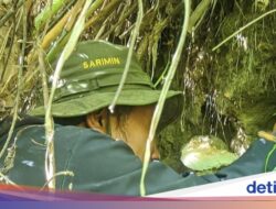 Kisah Hidup Sardot, Sang Pejuang Uang Negara Indonesia dan Pemburu Sarang Lebah