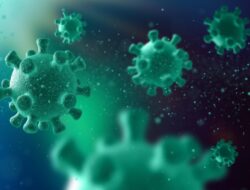 5 Anak Meninggal Akibat Flu Babi, Kemenkes Wanti-Wanti Jaga Keadaan Lingkungan