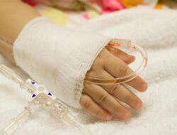 Fakta-fakta ‘Flu Babi’ H1pdm09, Tewaskan 5 Anak Ke Riau