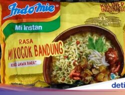 Kata Pengulas Mie Instan Top Dunia soal 10 Rasa Indomie, Ini Juaranya!