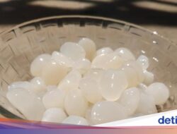 Acar Kolang Kaling Dibuat Didalam Proses Fermentasi, Apakah Halal?