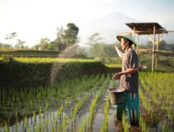 Merangsang Pemanfaatan Pertanian Presisi Berbasis Data dan Ilmu Pengetahuan